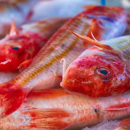 Le Balcon De Notre Dame - Locations Isahora * ル・トレポール